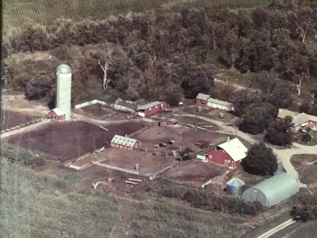 Farm 1981